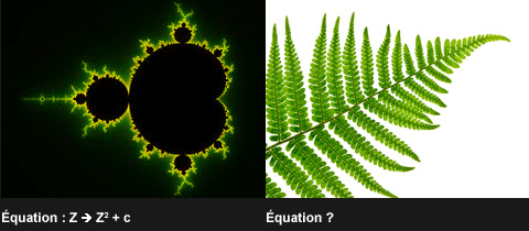 exemple fractal