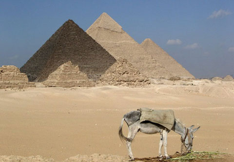 pyramides et ane1024